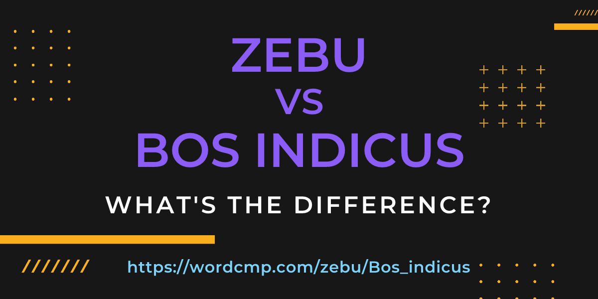 Difference between zebu and Bos indicus