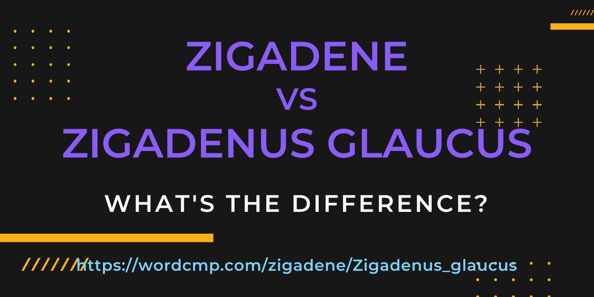 Difference between zigadene and Zigadenus glaucus