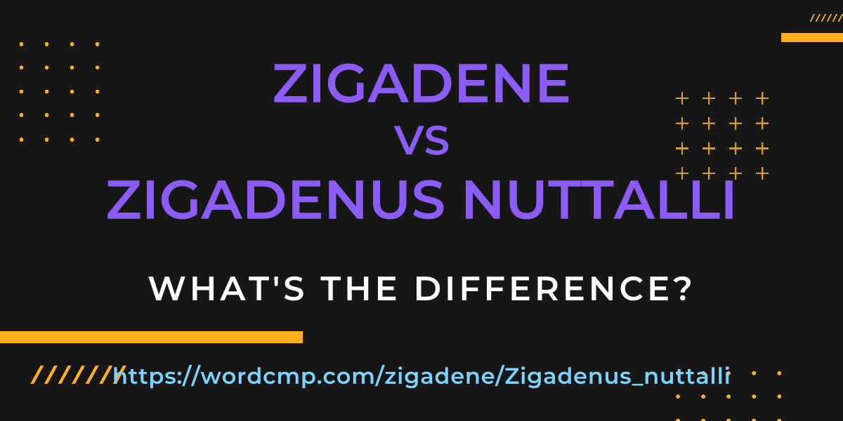 Difference between zigadene and Zigadenus nuttalli