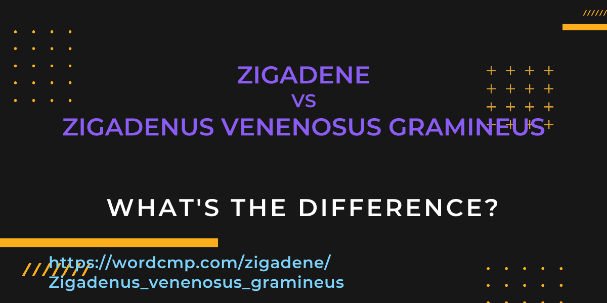 Difference between zigadene and Zigadenus venenosus gramineus