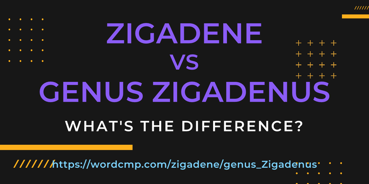 Difference between zigadene and genus Zigadenus