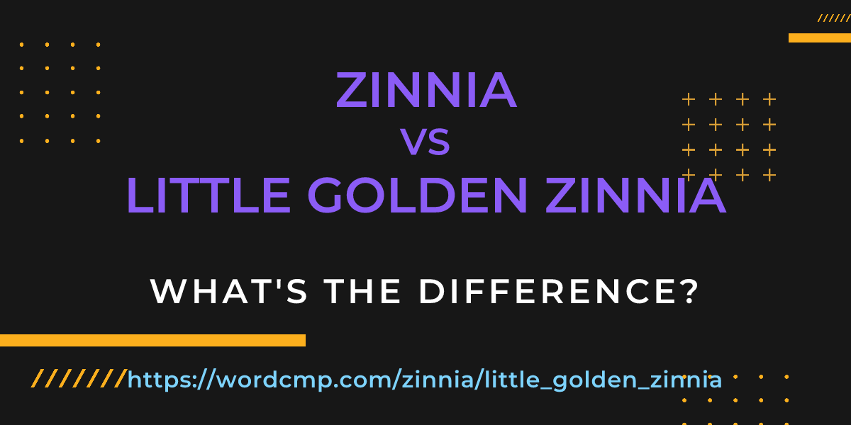 Difference between zinnia and little golden zinnia