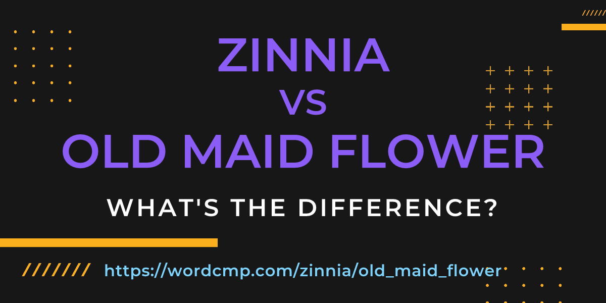 Difference between zinnia and old maid flower