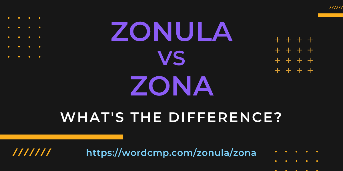 Difference between zonula and zona