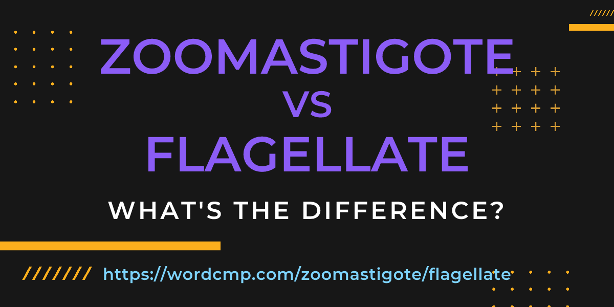 Difference between zoomastigote and flagellate