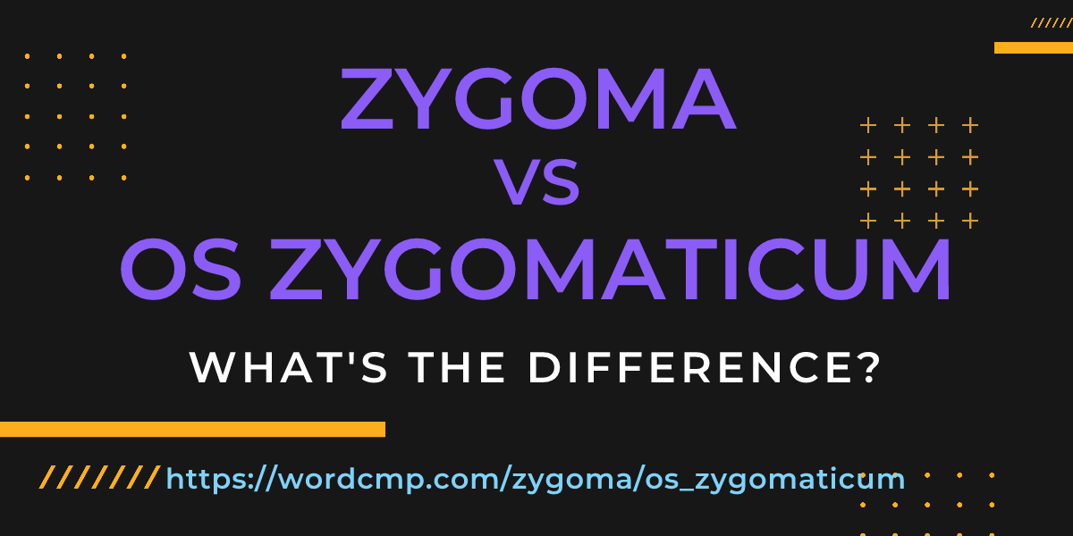 Difference between zygoma and os zygomaticum