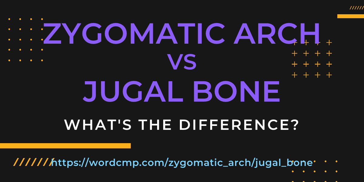 Difference between zygomatic arch and jugal bone