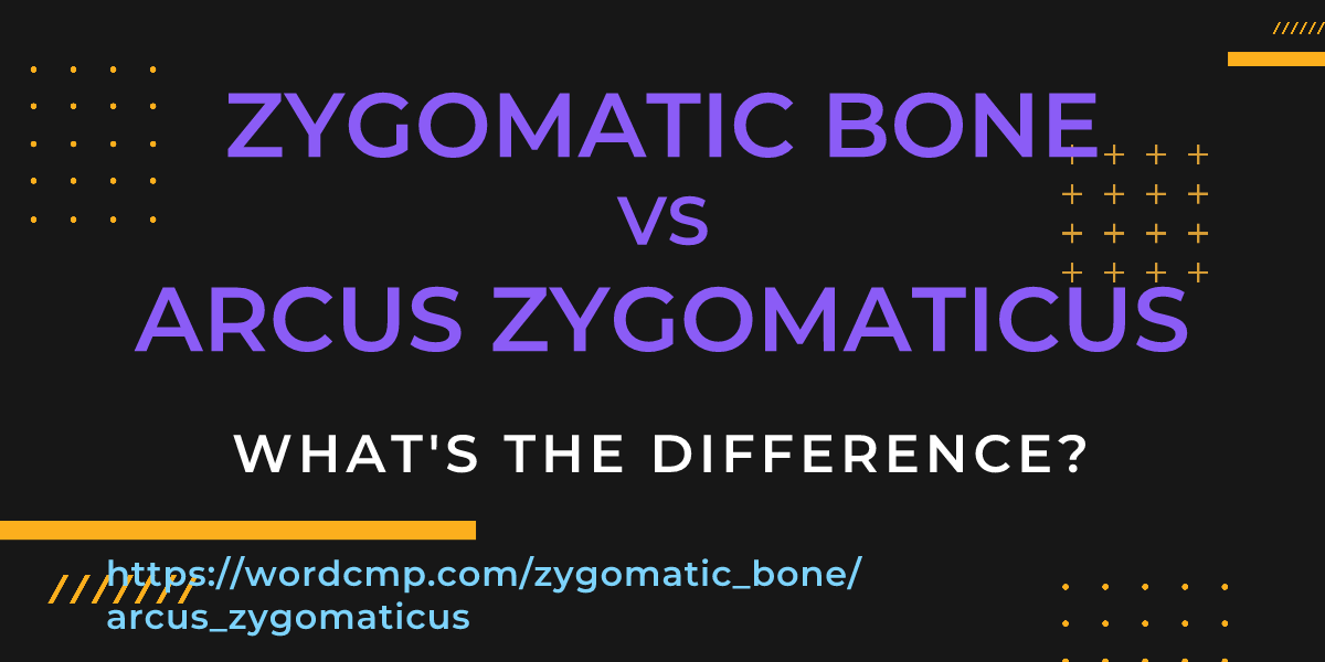 Difference between zygomatic bone and arcus zygomaticus