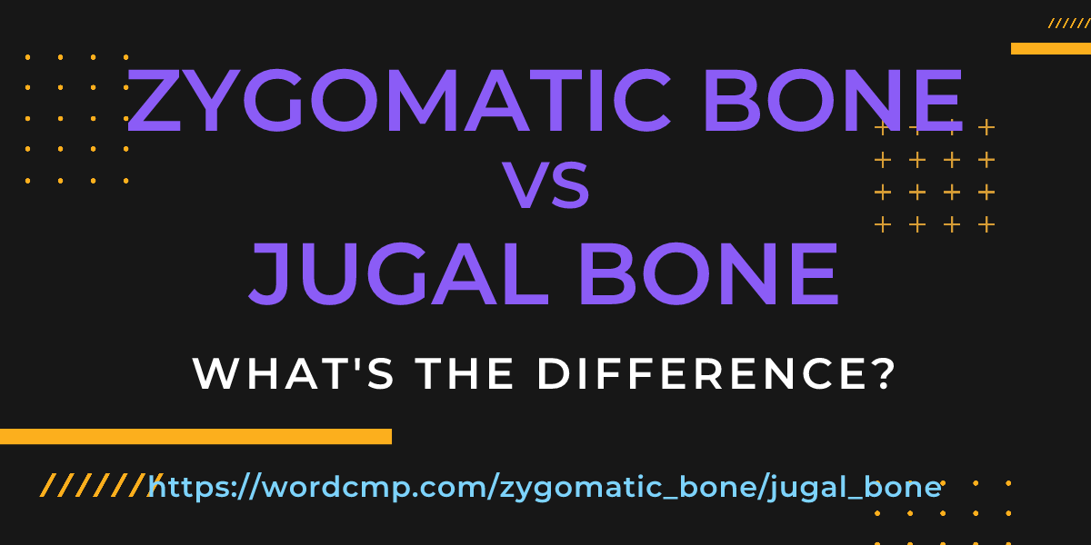 Difference between zygomatic bone and jugal bone