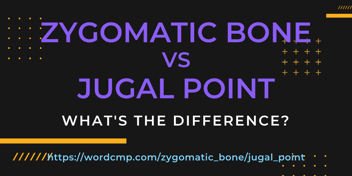 Difference between zygomatic bone and jugal point