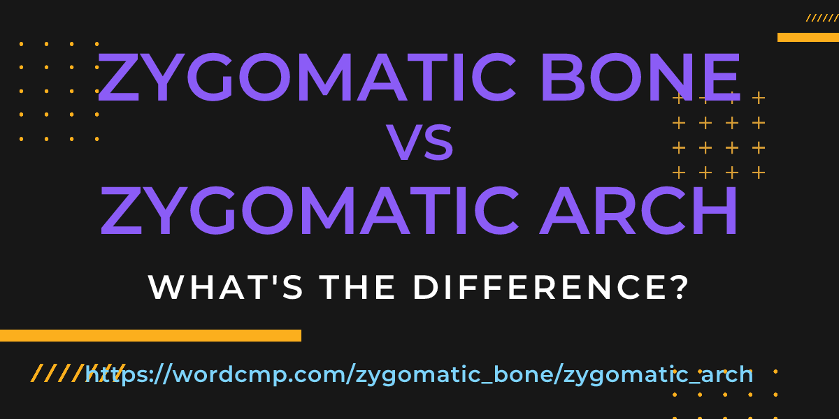 Difference between zygomatic bone and zygomatic arch