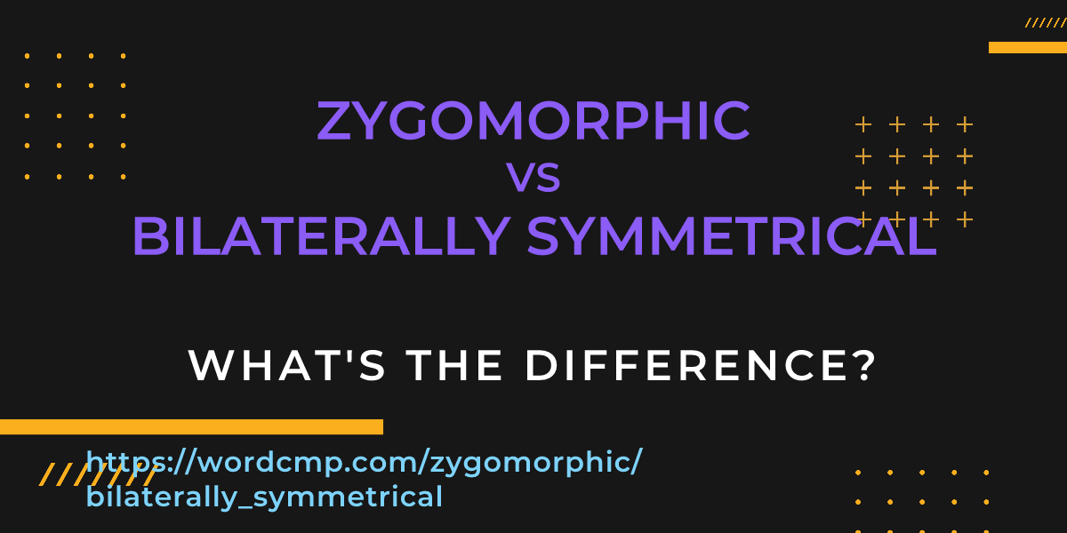 Difference between zygomorphic and bilaterally symmetrical