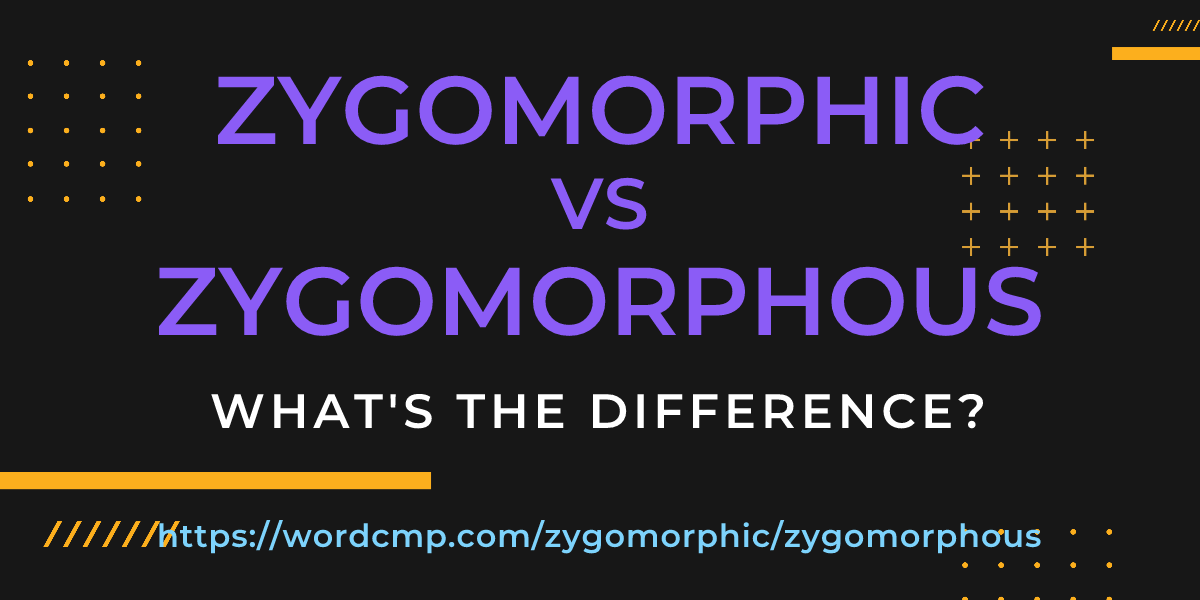 Difference between zygomorphic and zygomorphous
