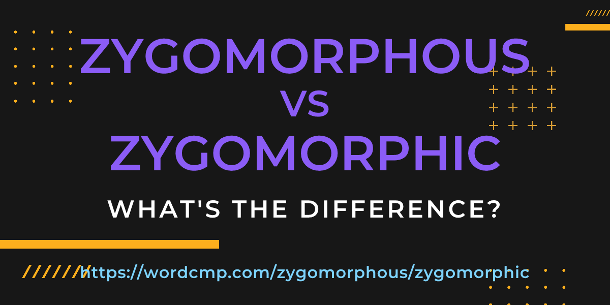 Difference between zygomorphous and zygomorphic
