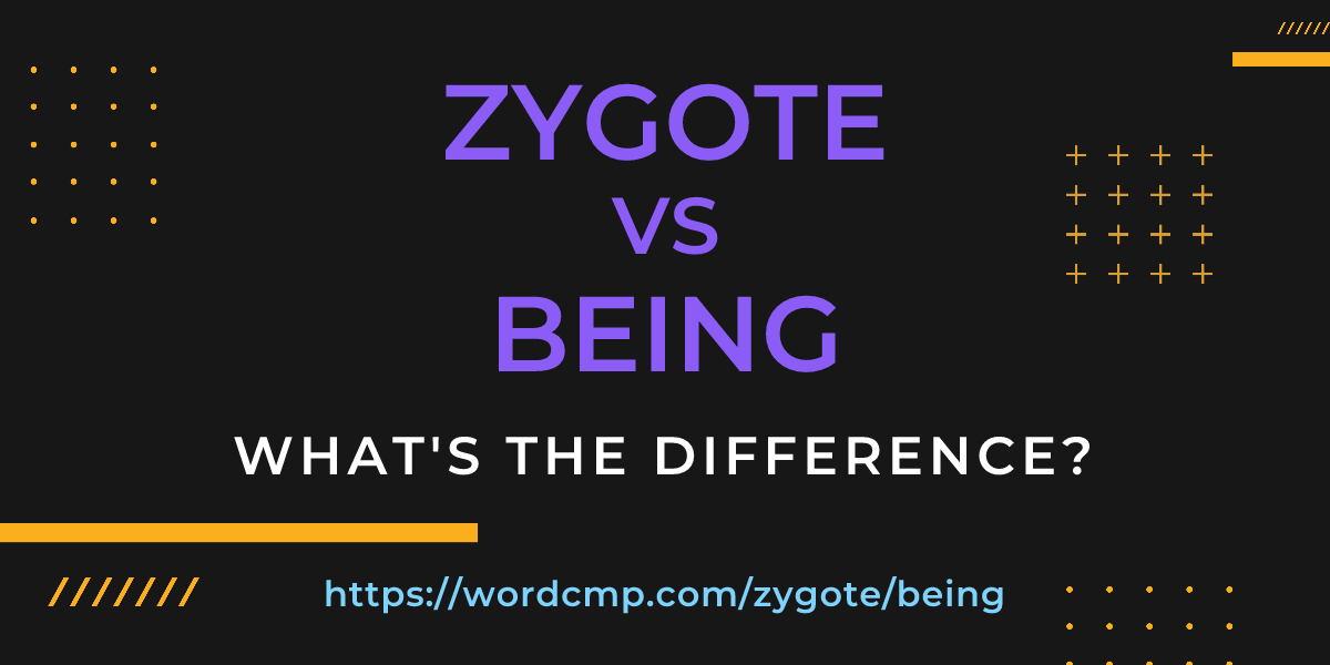Difference between zygote and being